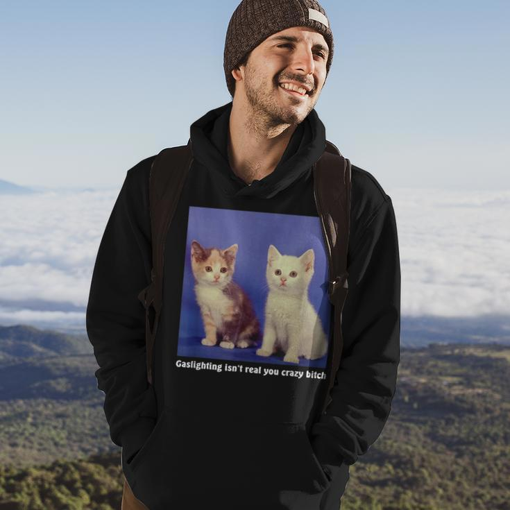 Gaslighting Isnt Real You Crazy BITCH Funny Cat Lover Hoodie Lifestyle