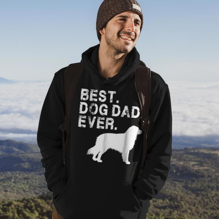 Grunge Best Dog Dad Ever Aussie With Dog Silhouette Gift For Mens Hoodie Lifestyle