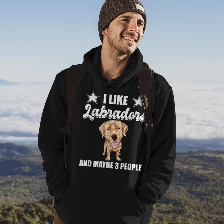 I Like Labradors And Maybe 3 People Yellow Lab Gift Labrador Hoodie Lifestyle