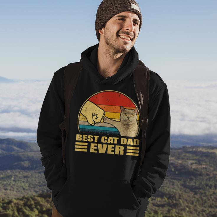 Mens Vintage Best Cat Dad Ever Bump Fit Funny Cat Lover Gift Hoodie Lifestyle