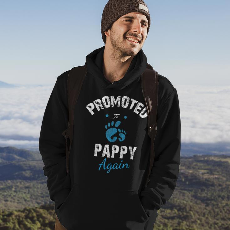 Promoted To Grandpa Again 2019 Soon To Be Pappy Gift Hoodie Lifestyle
