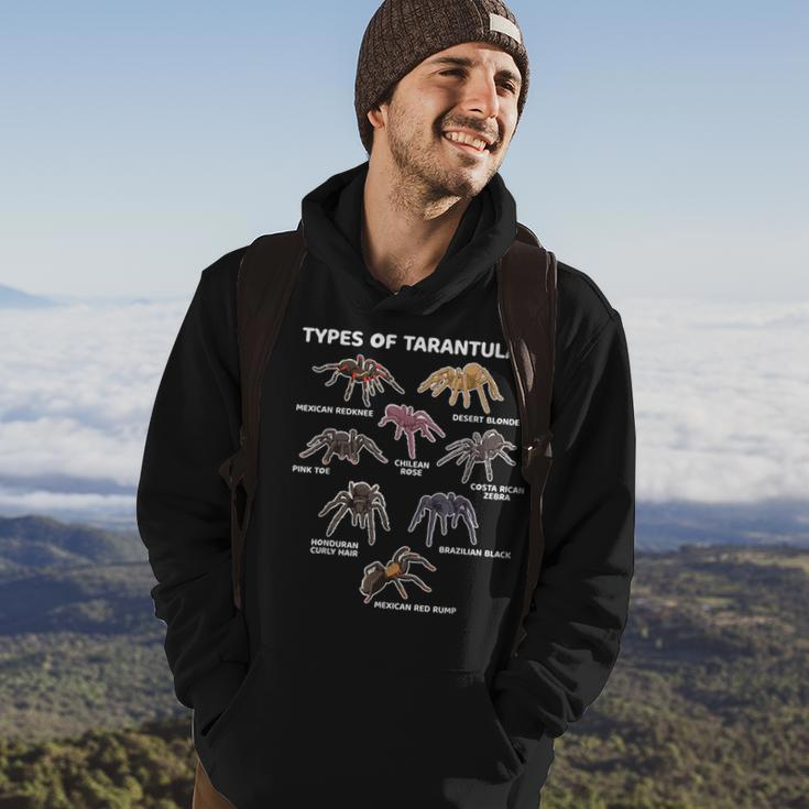 Types Of Tarantulas Pink Toe Chilean Mexican Hairy Spider Hoodie Lifestyle