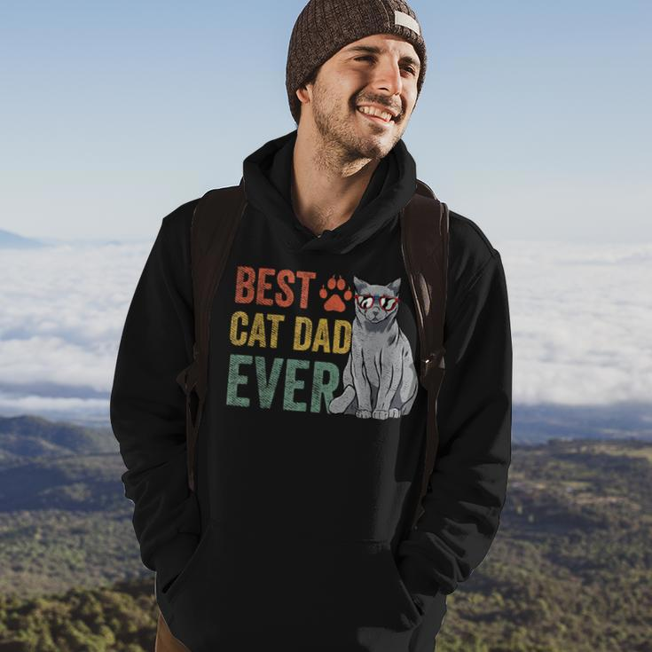 Vintage Best Cat Dad Ever Fathers Day Fur Daddy Gift For Mens Hoodie Lifestyle