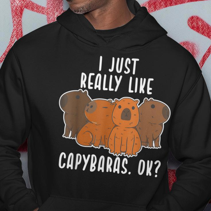 Capybara Gifts I Just Really Like Capybaras OkCute Animal Hoodie Unique Gifts