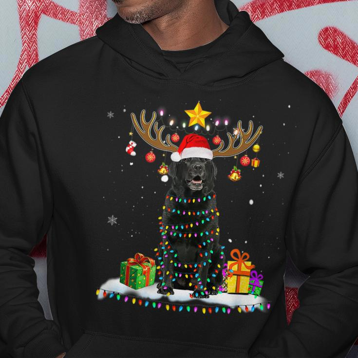 Funny Black Lab Dog Christmas Reindeer Christmas Lights Men Hoodie Graphic Print Hooded Sweatshirt Funny Gifts