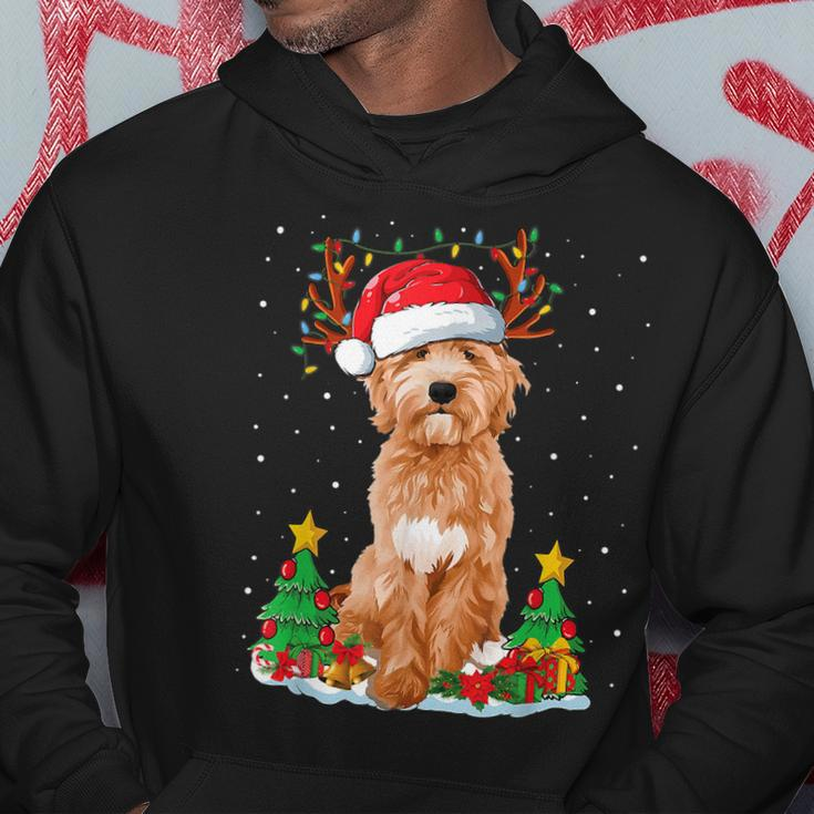 Goldendoodle Christmas Tree Lights Pajama Dog Xmas Men Hoodie Graphic Print Hooded Sweatshirt Funny Gifts