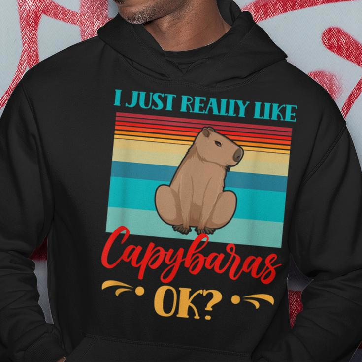 I Just Really Like Capybaras Ok Capybara Rodent Animal Hoodie Unique Gifts