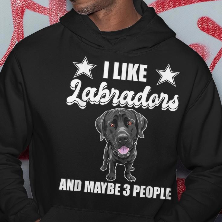 I Like Labradors And Maybe 3 People Black Lab Gift Labrador Hoodie Funny Gifts
