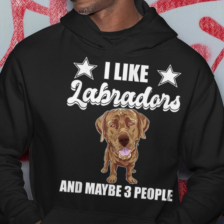 I Like Labradors Maybe 3 People Chocolate Lab Gift Labrador Hoodie Funny Gifts