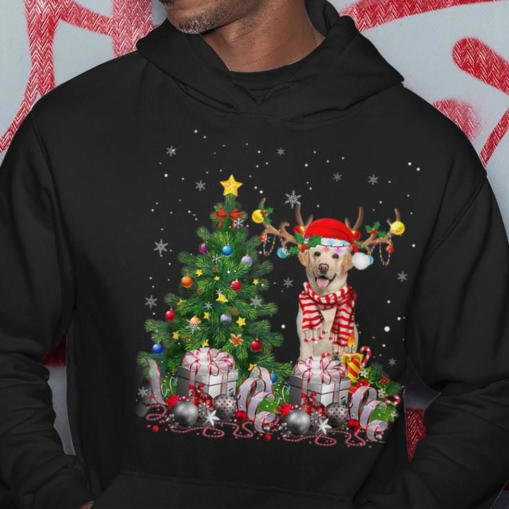 Labrador Retriever Dog Lover Matching Santa Christmas Tree Men Hoodie Graphic Print Hooded Sweatshirt Funny Gifts