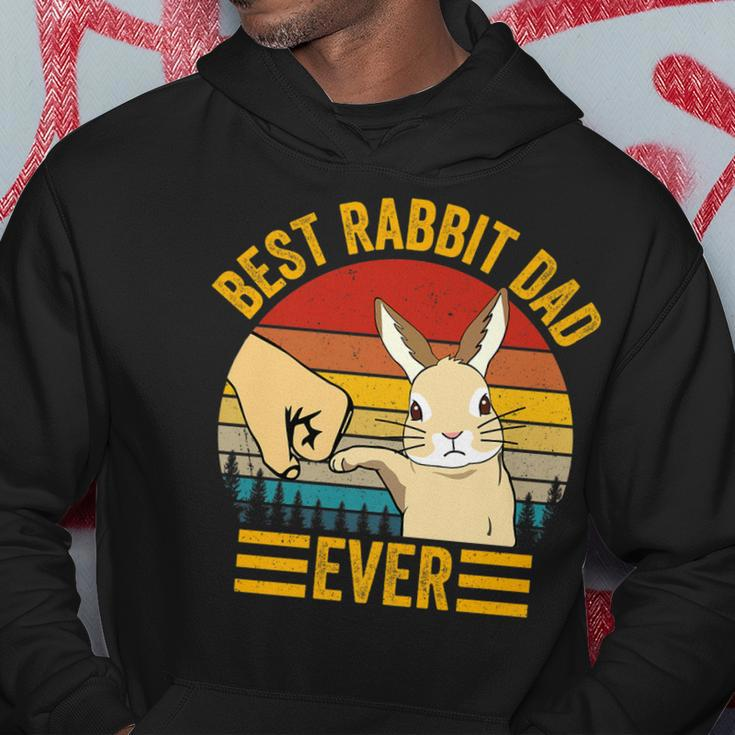 Mens Best Rabbit Dad Ever Vintage Rabbit Lover Best Bunny Dad Eve Hoodie Funny Gifts