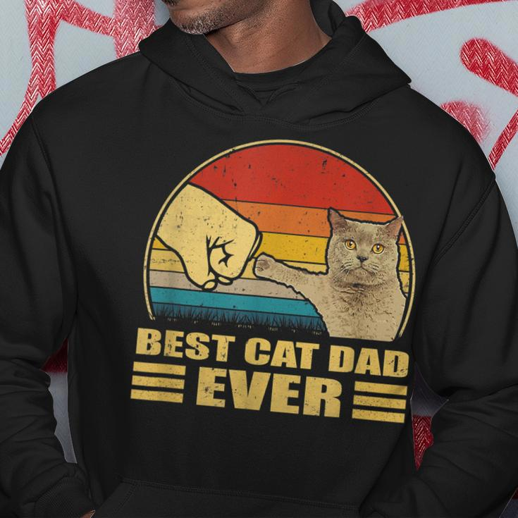 Mens Vintage Best Cat Dad Ever Bump Fit Funny Cat Lover Gift Hoodie Funny Gifts