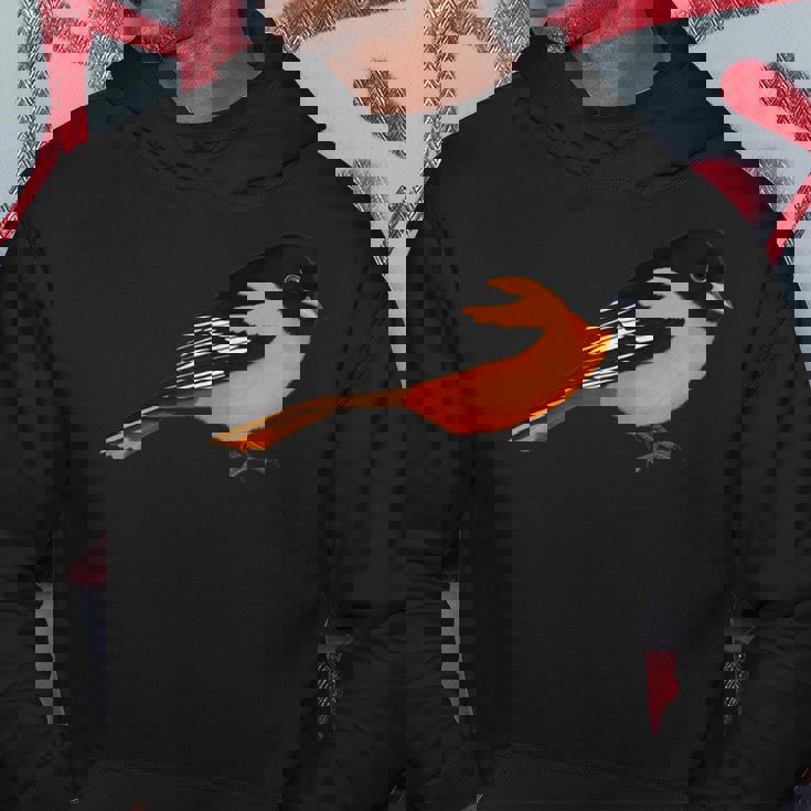 Oriole Bird Birdlover Birdwatcher Ornithologist Biologist Hoodie Unique Gifts