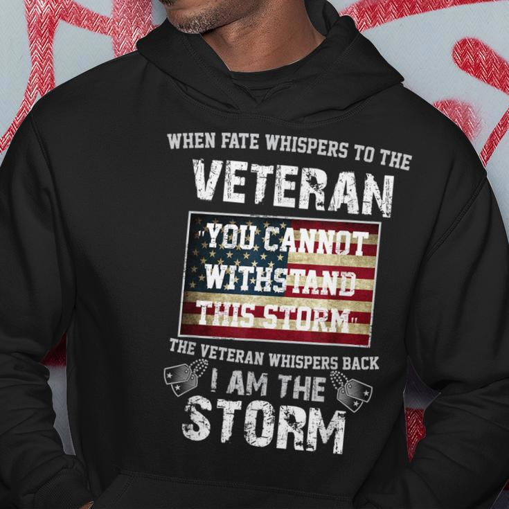 US Veteran I Am The Storm American Flag Hoodie Funny Gifts