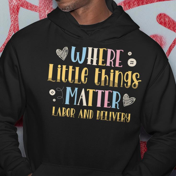 Where Little Things Matter Labor And Delivery Nurse V2 Hoodie Funny Gifts