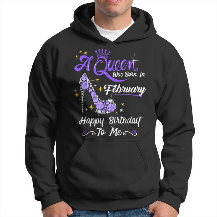 A Queen Was Born In February Gifts February Birthday Girl  Hoodie