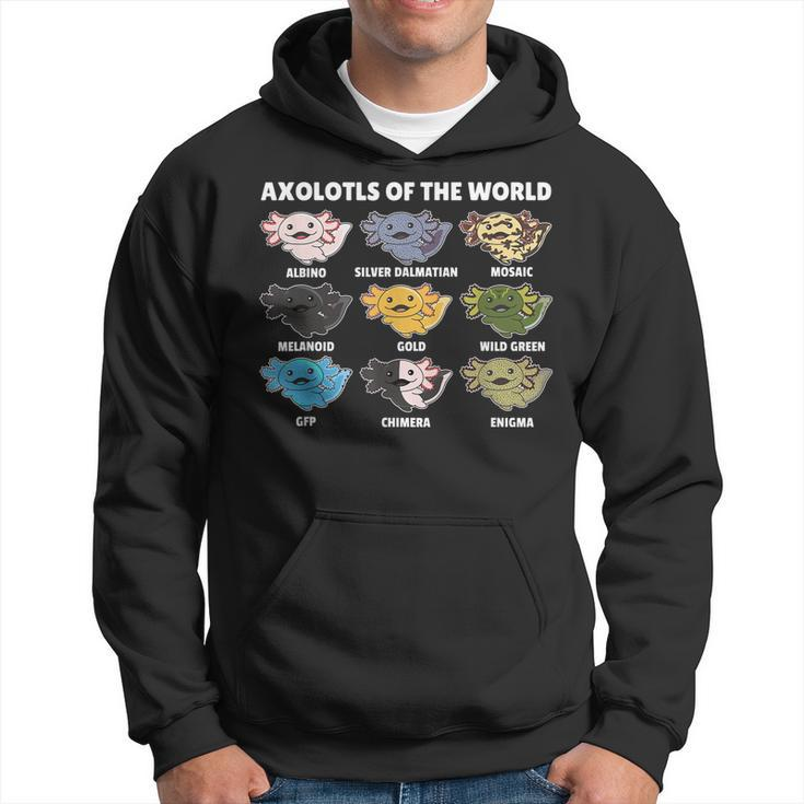Axolotls Of The World Sweet Animals Kawaii Axolotl  Hoodie