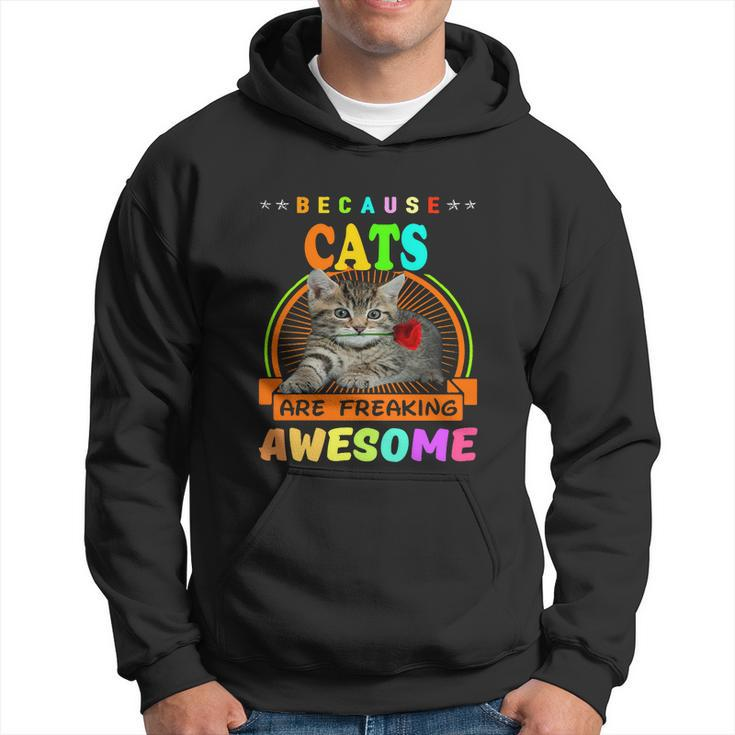 Because Cats Are Freaking Awesome Gift Friends Funny Design Gift Hoodie