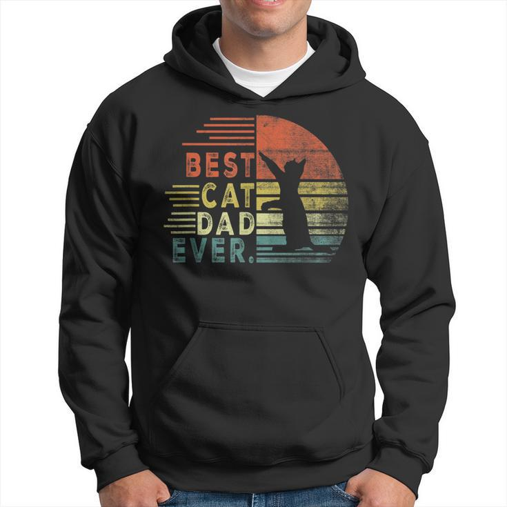 Best Cat Dad Ever Men Cat Gifts For Cat Lovers Fathers Day Hoodie