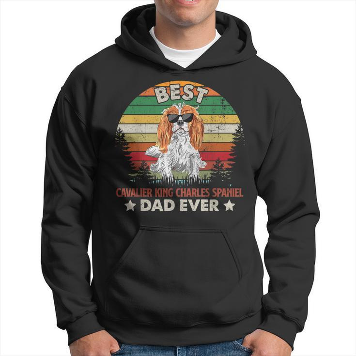 Best Cavalier King Charles Spaniel Dad Ever  Gifts Gift For Mens Hoodie