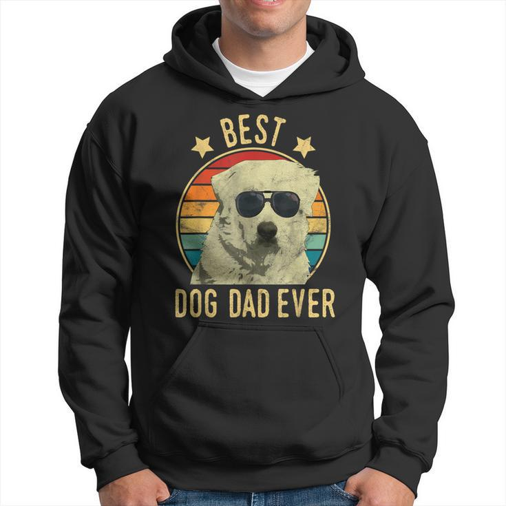 Best Dog Dad Ever Great Pyrenees Fathers Day Gift Gift For Mens Hoodie