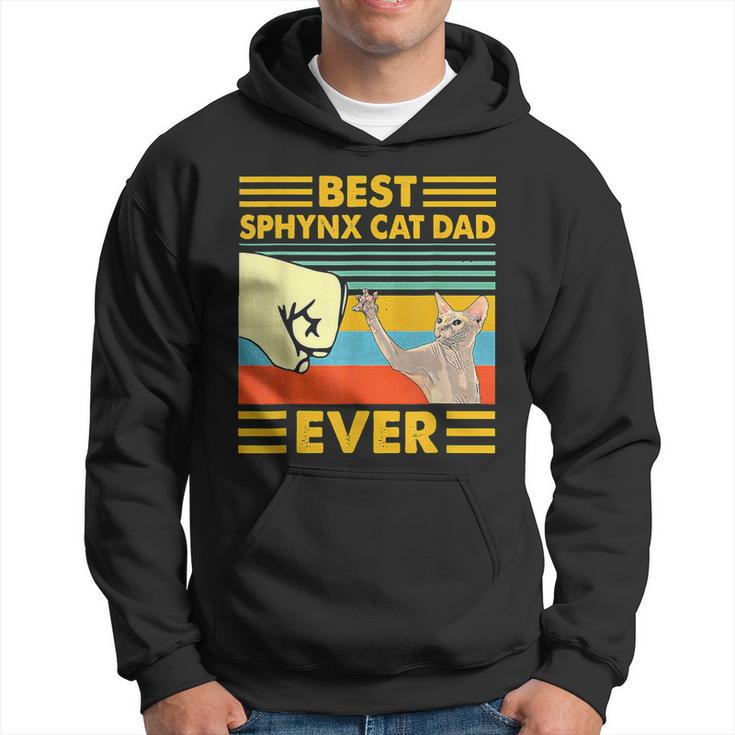 Best Sphynx Cat Dad Ever Retro Vintage Sunset Hoodie