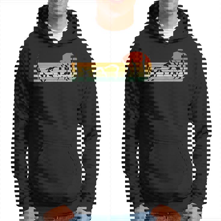 Cool Gymnasts Retro Sunset Girls Gymnastics  Hoodie