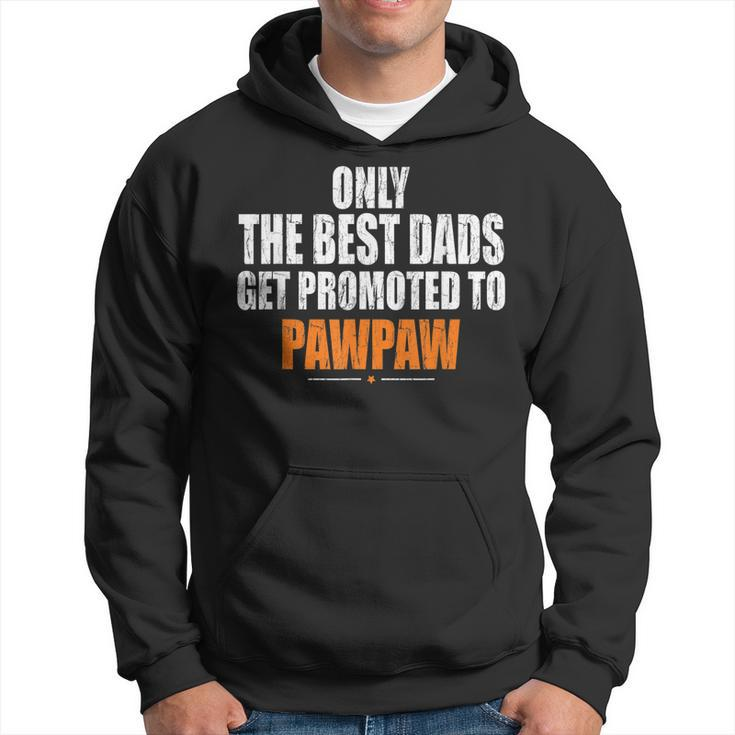 Dads Get Promoted To Pawpaw GrandpaGift For Mens Hoodie