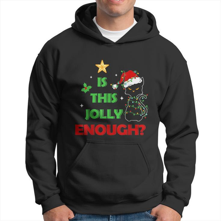 Funny Xmas Gift For Cat Lover Is This Jolly Enough Hoodie