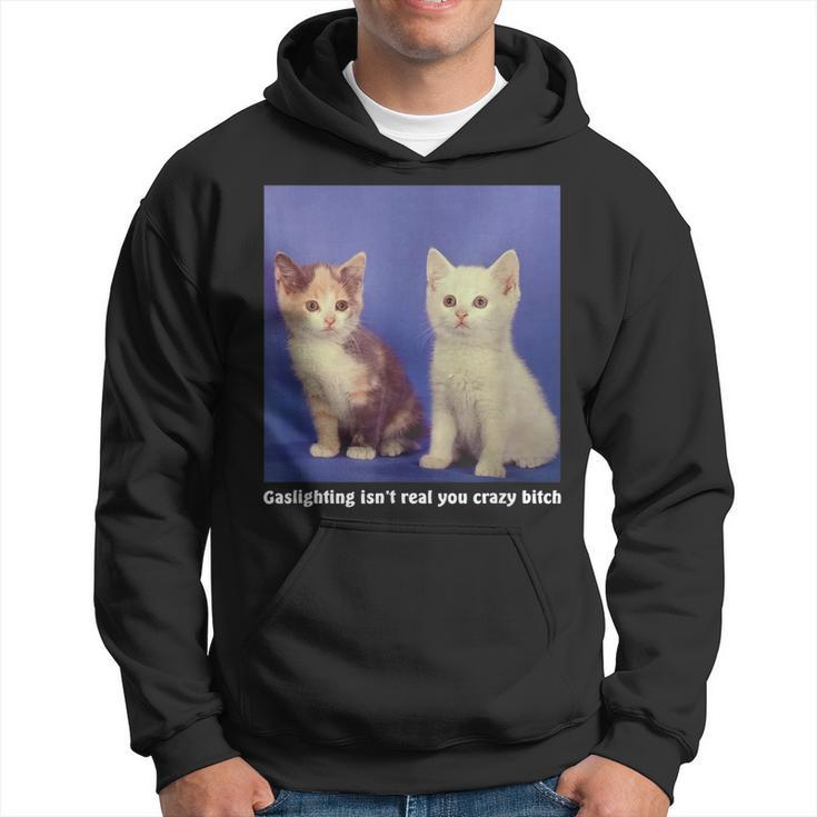 Gaslighting Isnt Real You Crazy BITCH Funny Cat Lover Hoodie