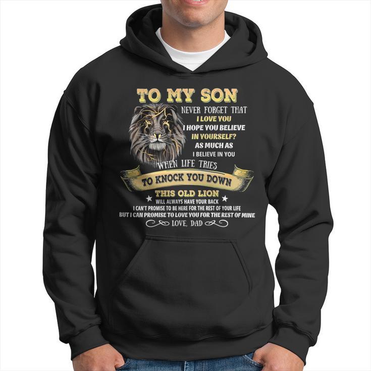 Gift To My Son From Dad Lion To My Son From Dad Never Forget That I Love You Hoodie