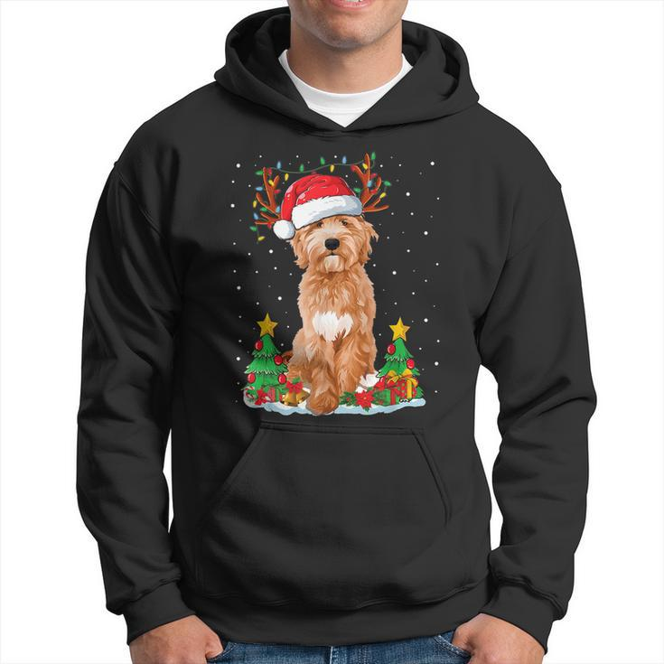 Goldendoodle Christmas Tree Lights Pajama Dog Xmas  Men Hoodie Graphic Print Hooded Sweatshirt