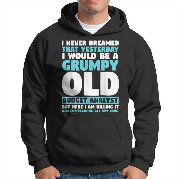 I Never Dreamed That I Would Be A Grumpy Old Budget Analyst  Hoodie