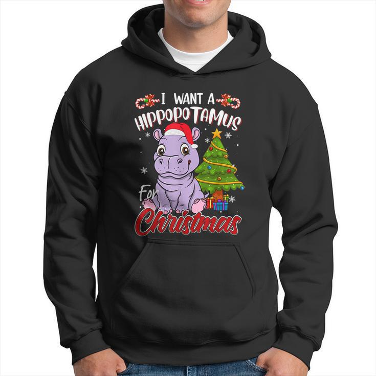 I Want A Hippopotamus For Christmas Funny Hippo Pajamas Xmas Gift Hoodie
