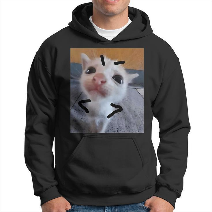 Judgy Kitty Funny Cat Lover Angry Kitten Meme Cute Graphic  Hoodie