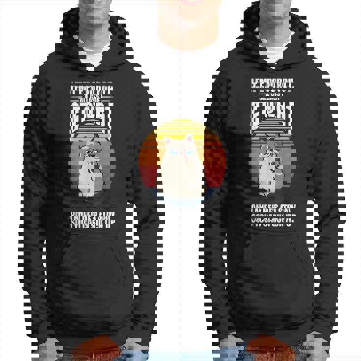 Let Me Pour You A Tall Glass Cat Kitten Funny  Hoodie