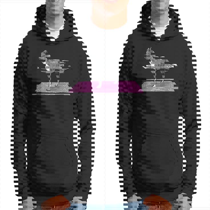 Pitbull Doing Yoga Funny Pitbull Dog Lover Yogi Teacher Men Hoodie Graphic Print Hooded Sweatshirt