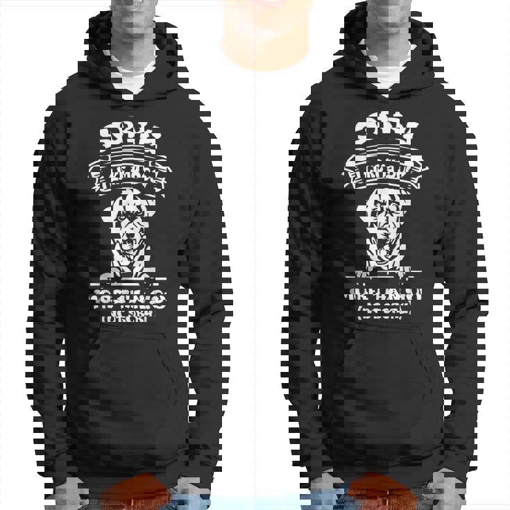 Sorry I Like My Dog More Than You Not Sorry Hoodie Sorry I Like My Dog More Than You Not Sorry Hoodie