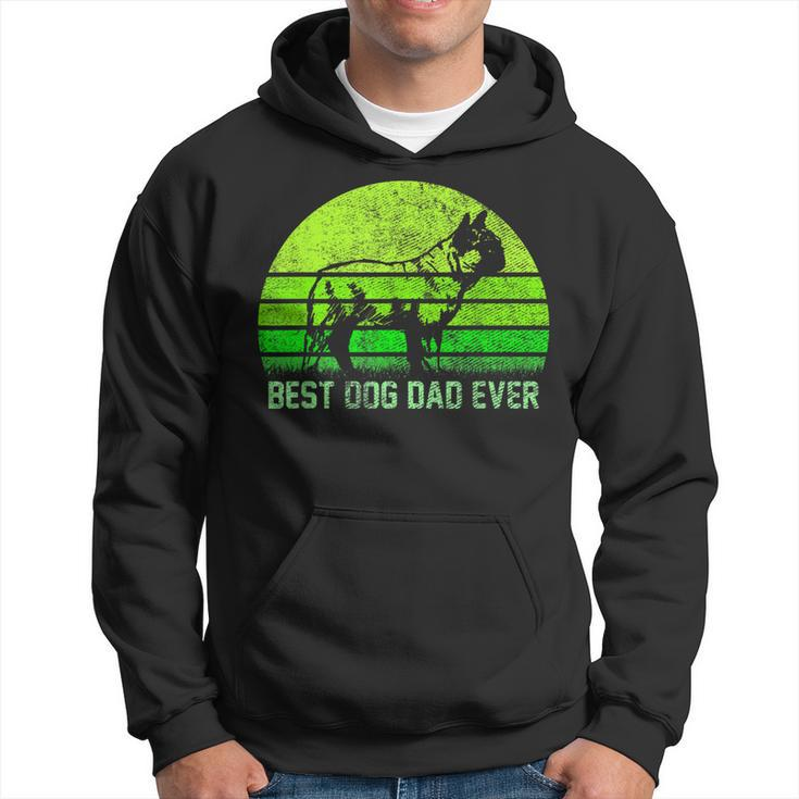 Vintage Best French Bulldog Dog Dad Ever Silhouette Sunset Hoodie