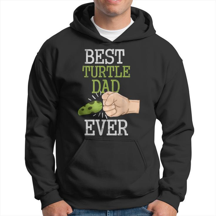 Vintage Best Turtle Dad Ever Fathers Day Animal Lovers Gift Gift For Mens Hoodie