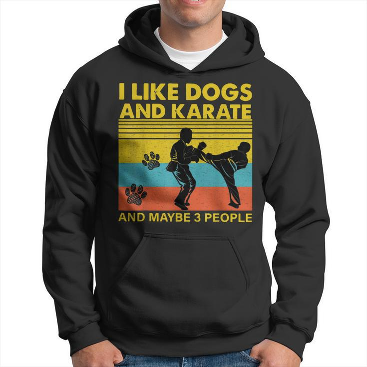 Vintage I Like Dogs And Karate And Maybe 3 People Funny Gift Hoodie
