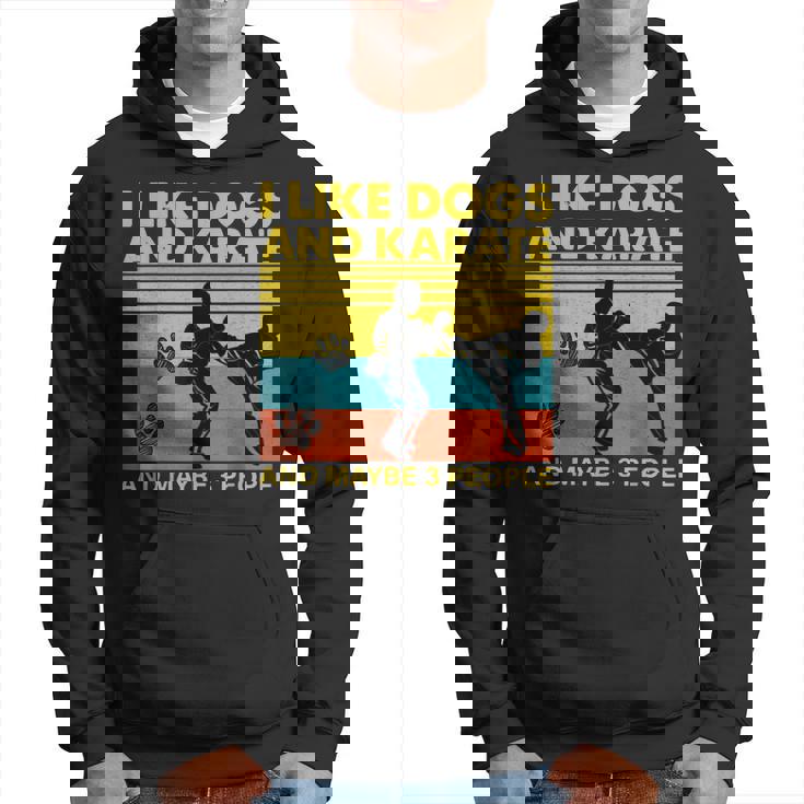 Vintage I Like Dogs And Karate And Maybe 3 People Funny Gift Hoodie