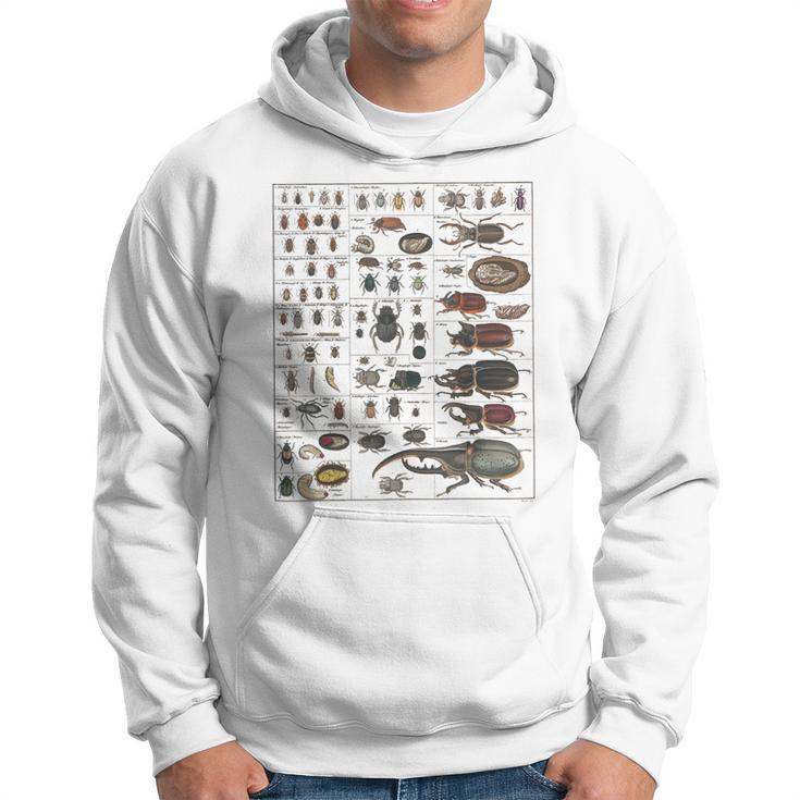 Insects Collection Species Bugs Vintage Chart Entomology Hoodie