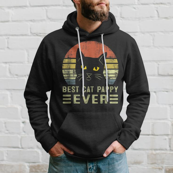 Best Cat Pappy Ever Bump Fit Fathers Day Gift Dad For Men Hoodie Gifts for Him