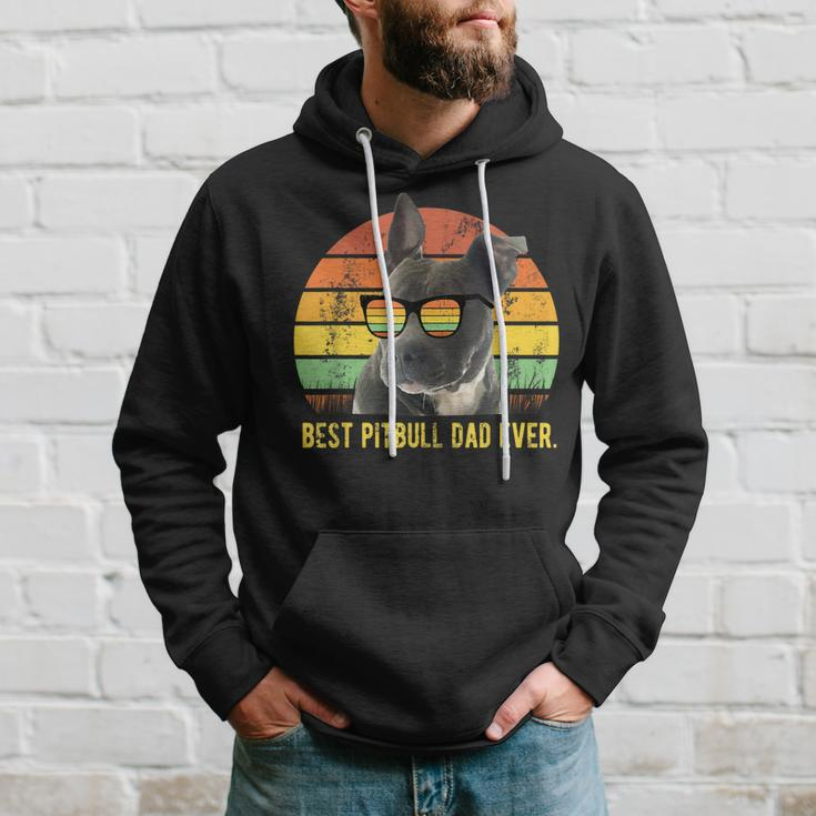 Best Pitbull Dad Ever Cute Funny Retro Sunset Daddy Gift Hoodie Gifts for Him