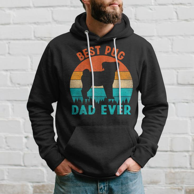 Best Pug Dad Ever Funny Gifts Dog Animal Lovers Walker Cute Hoodie Gifts for Him