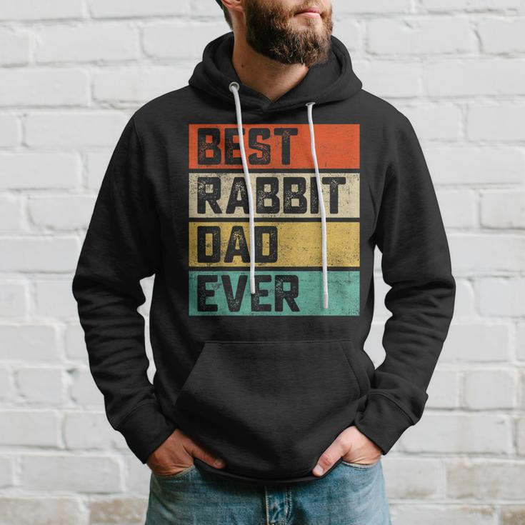 Best Rabbit Dad Ever Funny Rabbits Men Father Vintage Hoodie Gifts for Him