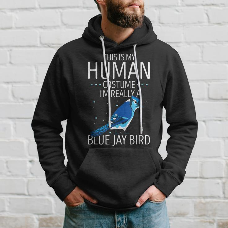 Blauhäher Menschliches Kostüm Hoodie, Stellers Jay Tierisches Design Geschenke für Ihn