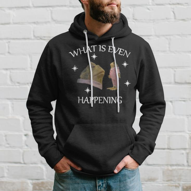 Frog What Is Even Happening Funny Frog Inspired Hoodie Gifts for Him
