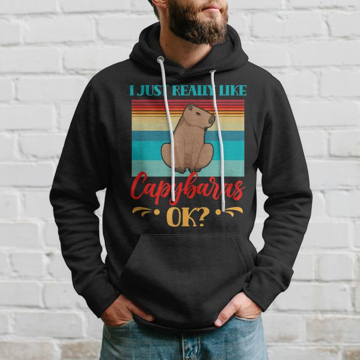 I Just Really Like Capybaras Ok Capybara Rodent Animal Hoodie Gifts for Him